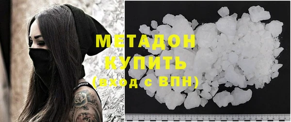 сатива Новозыбков