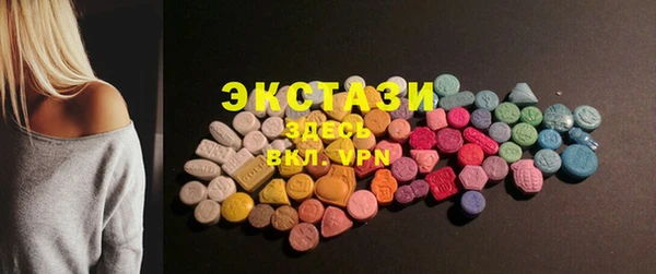 сатива Новозыбков