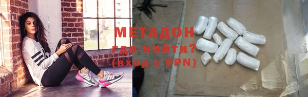 сатива Новозыбков