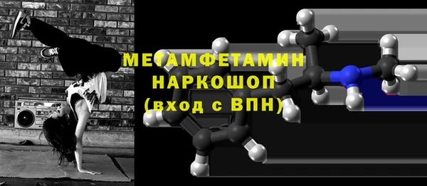 сатива Новозыбков