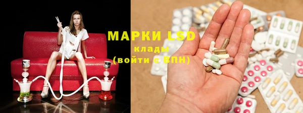 гашик Новокубанск