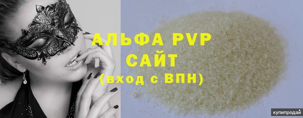 сатива Новозыбков