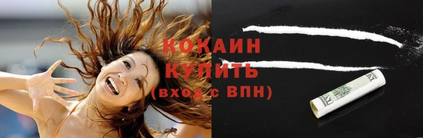 сатива Новозыбков