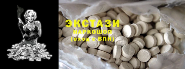 сатива Новозыбков