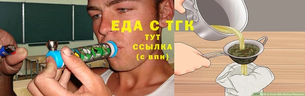 сатива Новозыбков