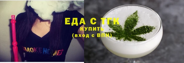 сатива Новозыбков
