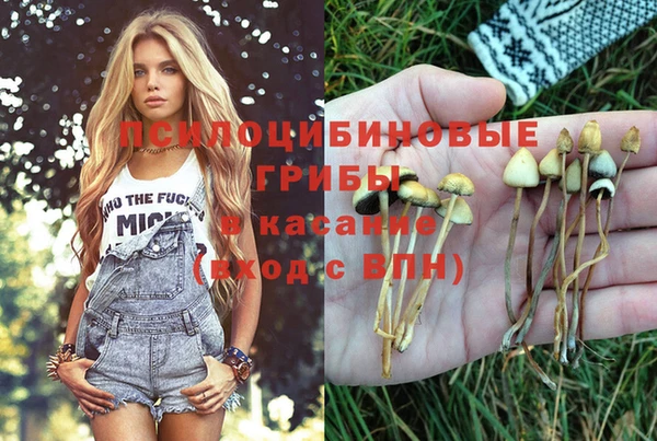 гашик Новокубанск
