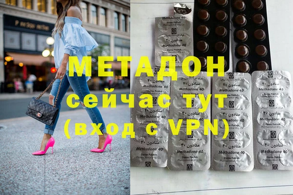 сатива Новозыбков