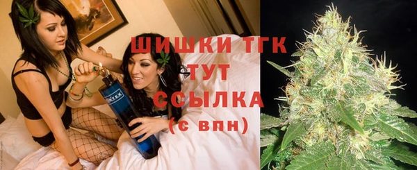 трава Новодвинск