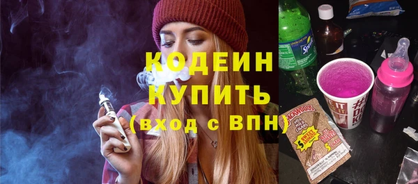сатива Новозыбков