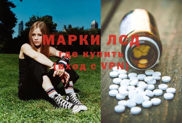 трава Новодвинск