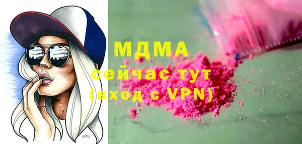 сатива Новозыбков