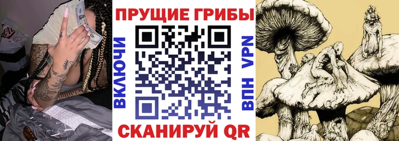 купить закладку  Руза  Галлюциногенные грибы мицелий 