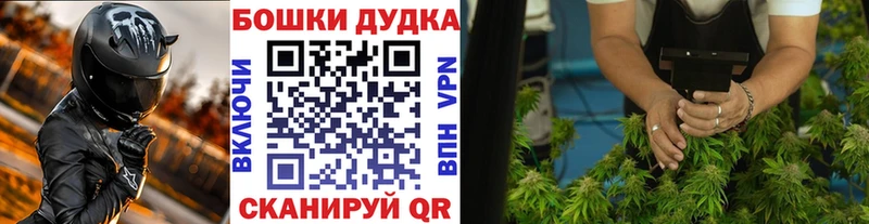 Шишки марихуана планчик  Руза 